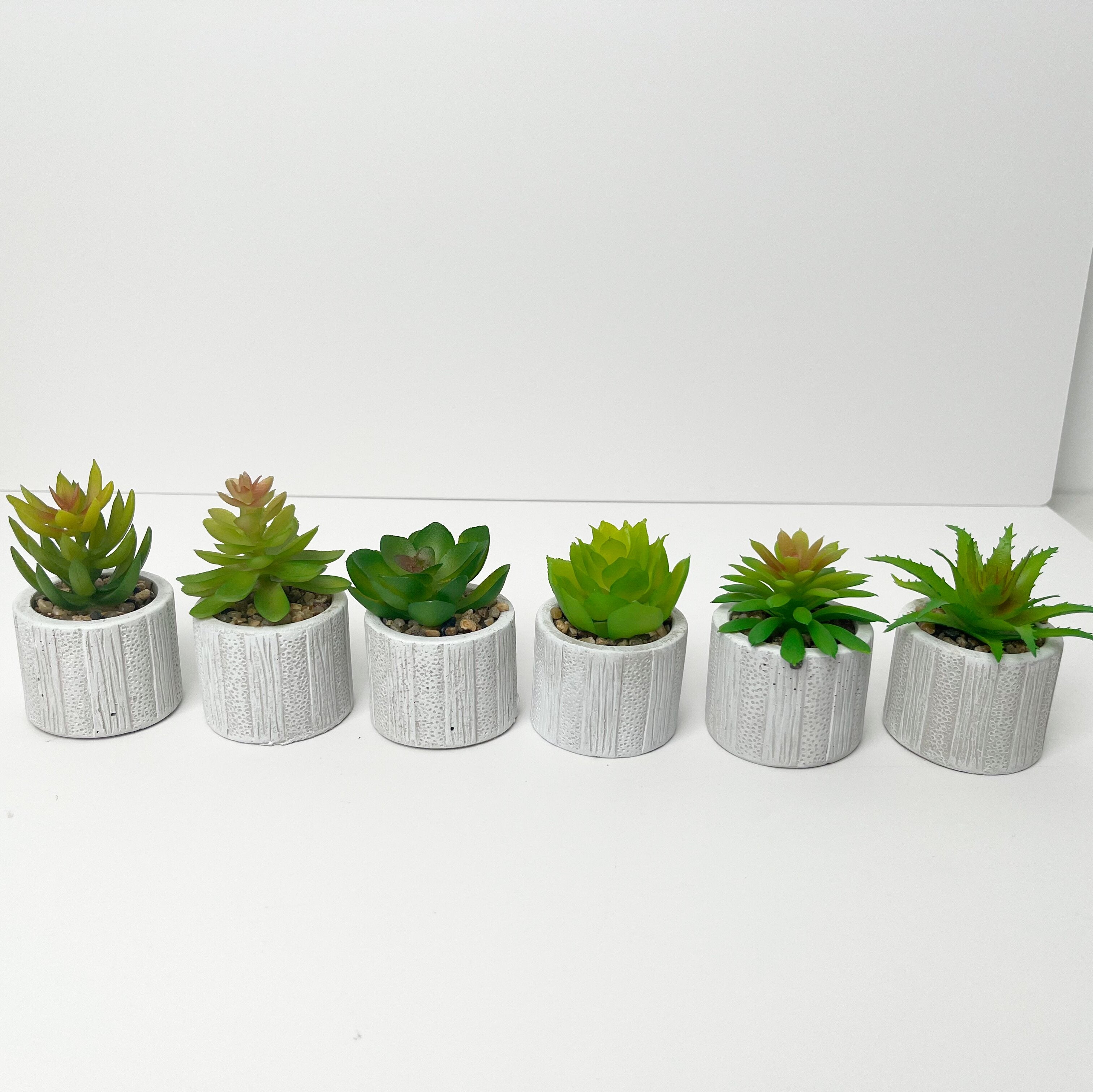 6 Mini maceta de cemento con suculenta artificial