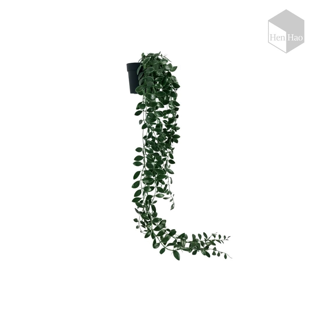 Planta colgante decorativa